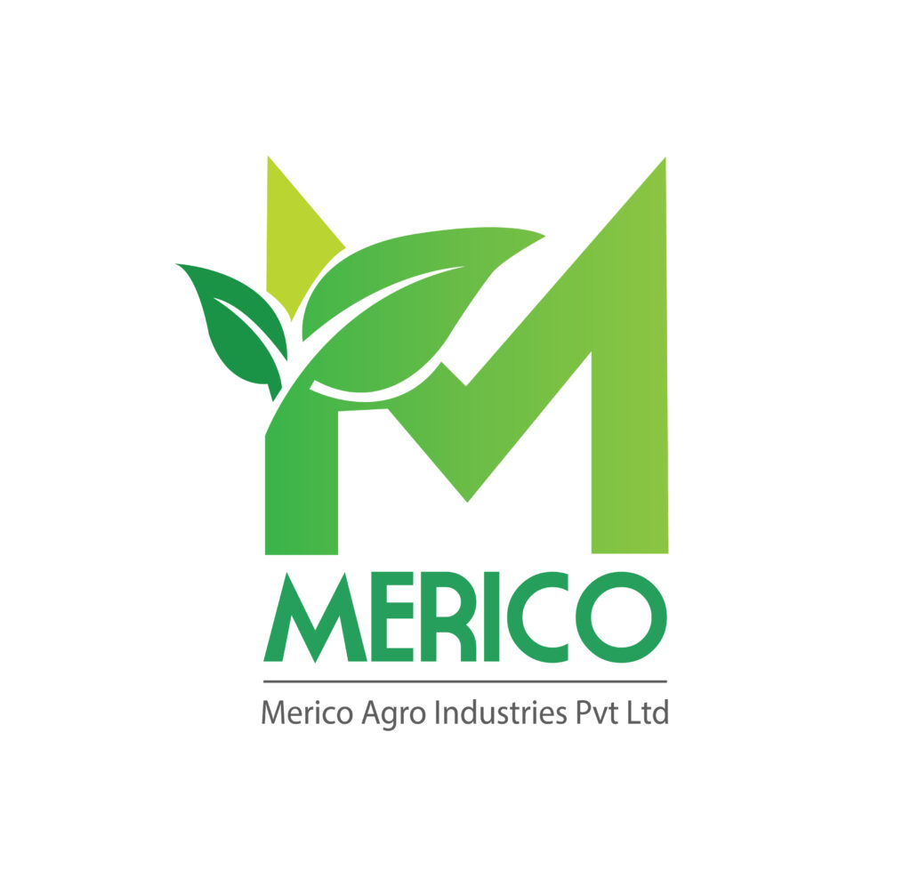 logo designer kolkata